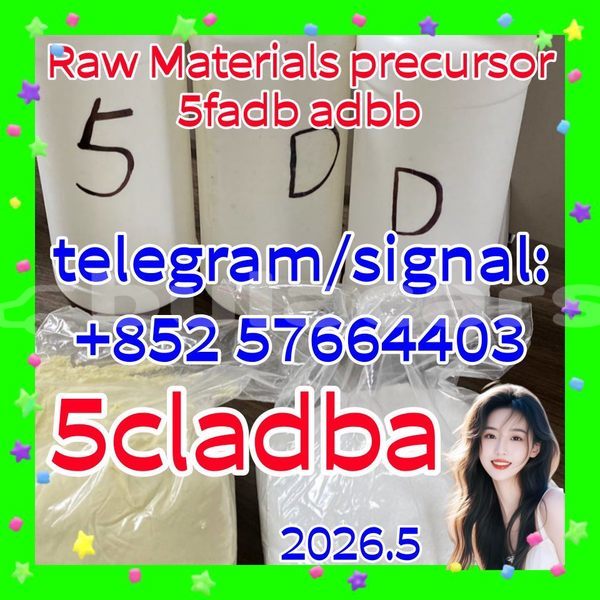 Big with watermark 511
