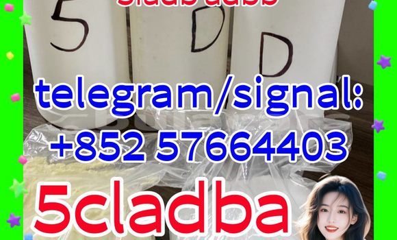 Medium with watermark 511