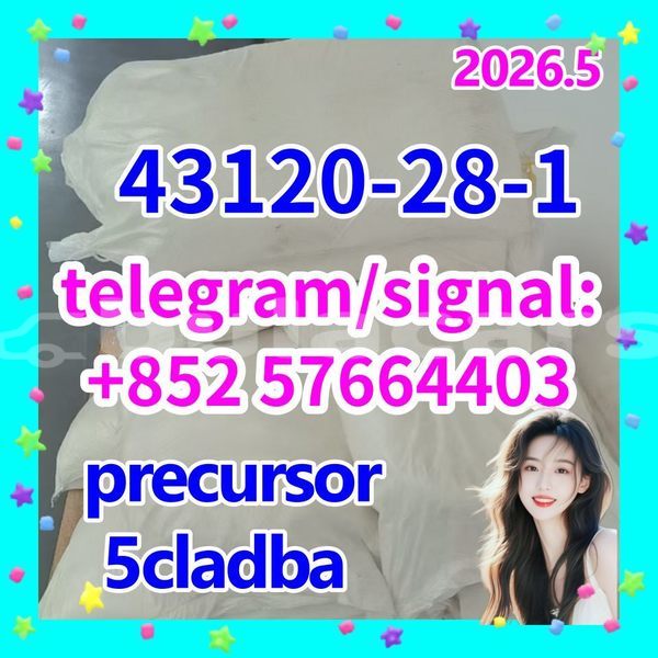 Big with watermark 43120