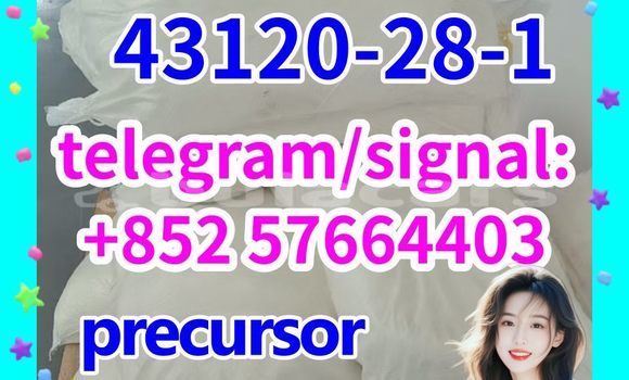 Medium with watermark 43120