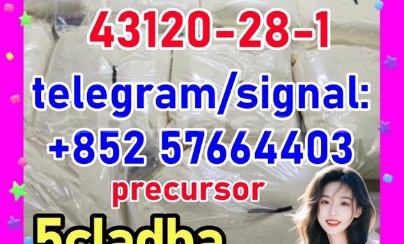 43120-28-1 precursor