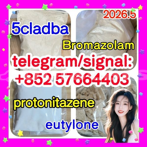 Big with watermark z2