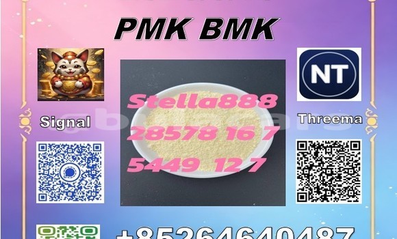 cas28578-16-7 pmk