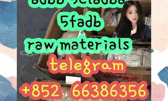 Medium with watermark 1