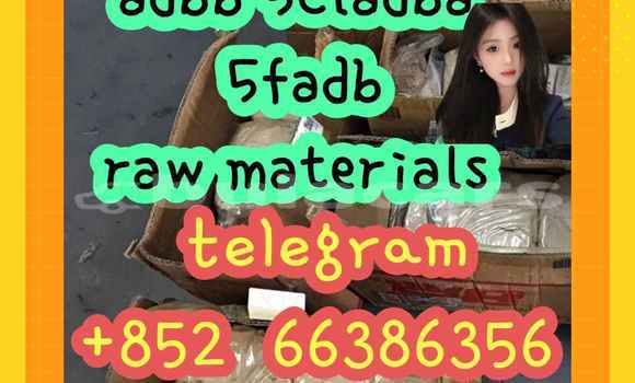 Medium with watermark 4