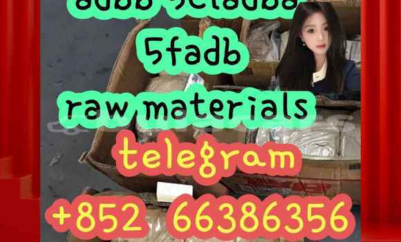 Medium with watermark 5