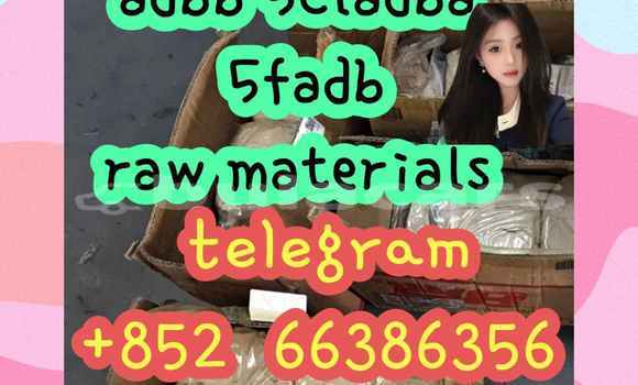 Medium with watermark 7