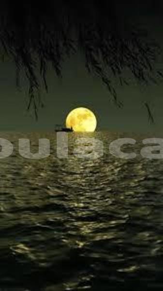 Big with watermark images 4 