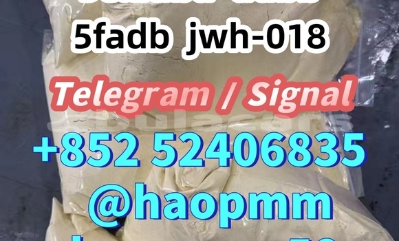 Medium with watermark 4