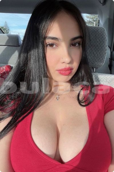 Big with watermark adler diplomat central import dubai 17553