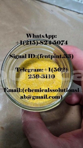Big with watermark whatsapp image 2026 05 22 at 1.33.31 pm