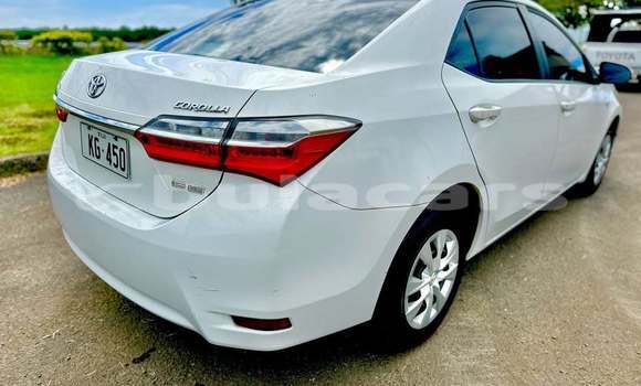 Buy Used Toyota Corolla White Car in Suva in Central Buy Used Toyota Corolla White Car in Suva in Central