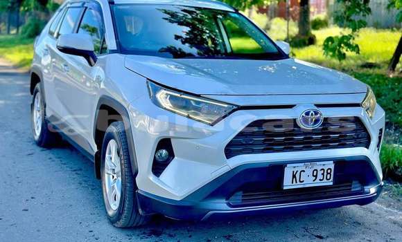 Buy Used Toyota RAV4 White Car in Suva in Central Buy Used Toyota RAV4 White Car in Suva in Central