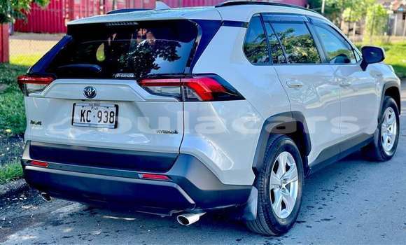 Buy Used Toyota RAV4 White Car in Suva in Central Buy Used Toyota RAV4 White Car in Suva in Central