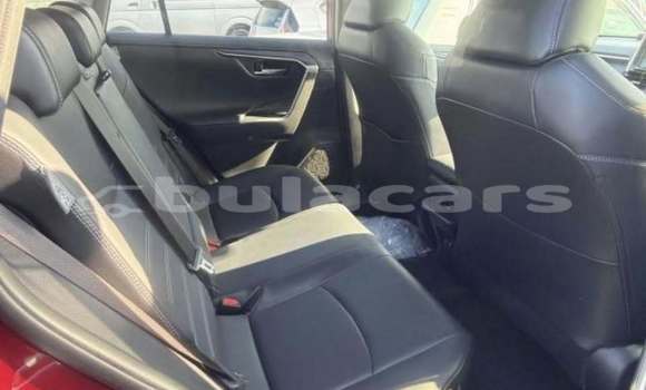 Buy Used Toyota RAV4 Red Car in Suva in Central Buy Used Toyota RAV4 Red Car in Suva in Central