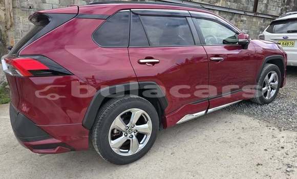 Buy Used Toyota RAV4 Red Car in Suva in Central Buy Used Toyota RAV4 Red Car in Suva in Central