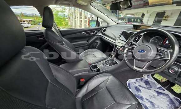Buy Used Subaru Sambar White Car in Suva in Central Buy Used Subaru Sambar White Car in Suva in Central