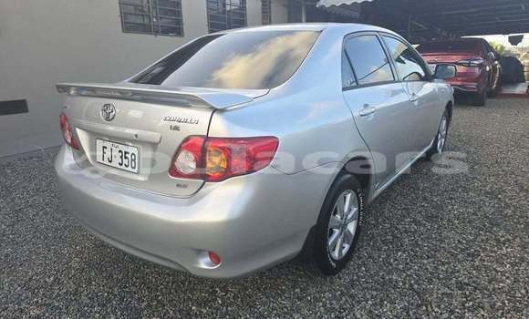 Acheter Occasion Voiture Toyota Corolla Gris à Suva, Central Acheter Occasion Voiture Toyota Corolla Gris à Suva, Central