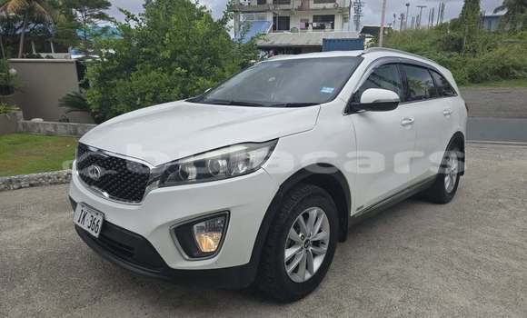 Buy Used Kia Sorento White Car in Suva in Central