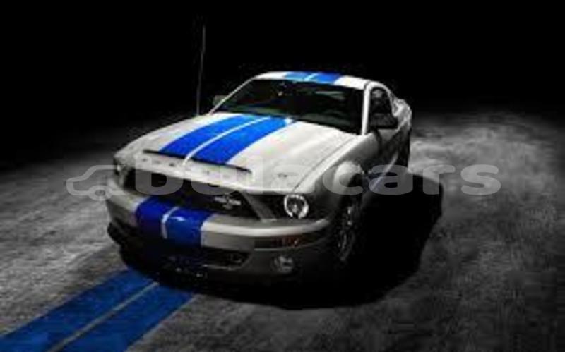 Big with watermark images 3 