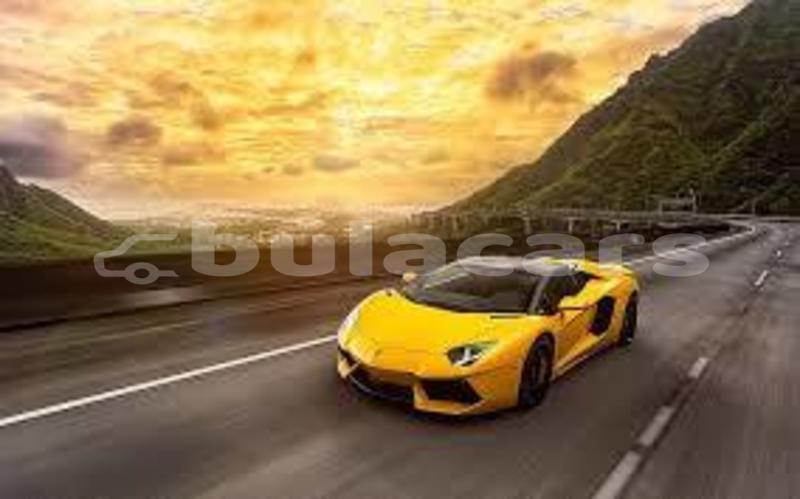 Big with watermark images 4