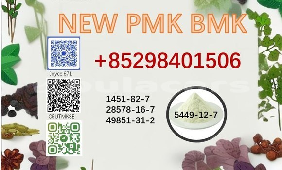 NEW BMK PMK 5449-12-7 