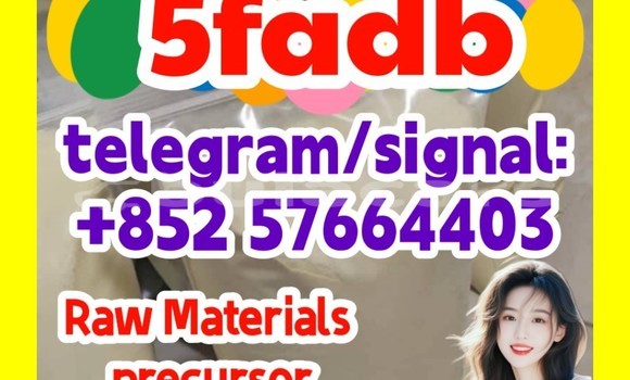 Medium with watermark 51