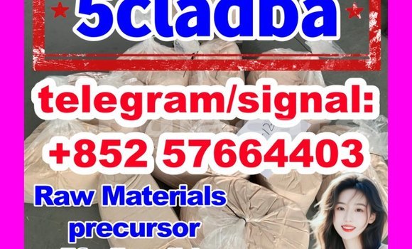 Medium with watermark 52