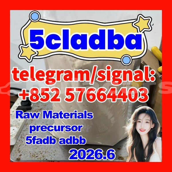 Big with watermark 55