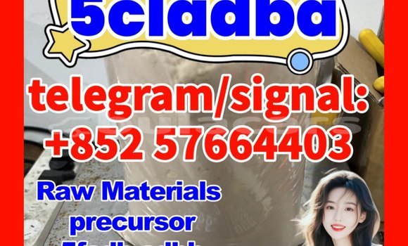 Medium with watermark 55