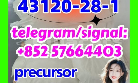 Medium with watermark 43120