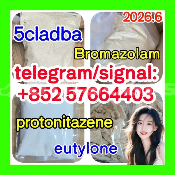 Big with watermark z1