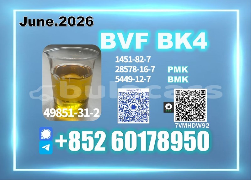 Big with watermark bvf cas 49851 31 2 batch production record