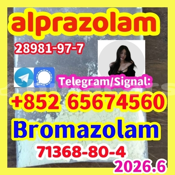 Big with watermark broalp2 %e5%89%af%e6%9c%ac