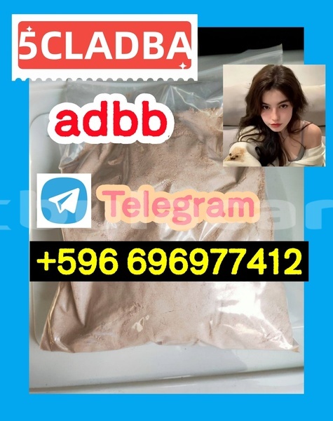 Big with watermark 2.4
