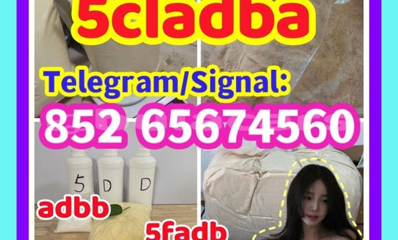 Medium with watermark 5clad%e4%b8%bb %e5%89%af%e6%9c%ac