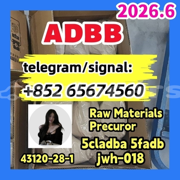 Big with watermark photo 2026 03 04 10 21fdbfgb 30 %e5%89%af%e6%9c%ac %e5%89%af%e6%9c%ac