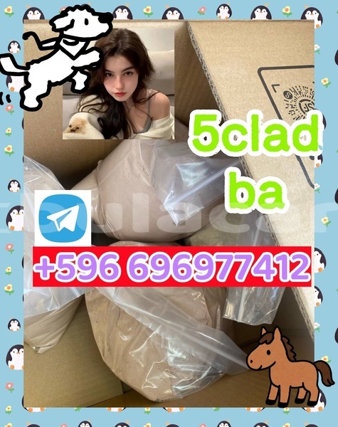 Big with watermark 2.3
