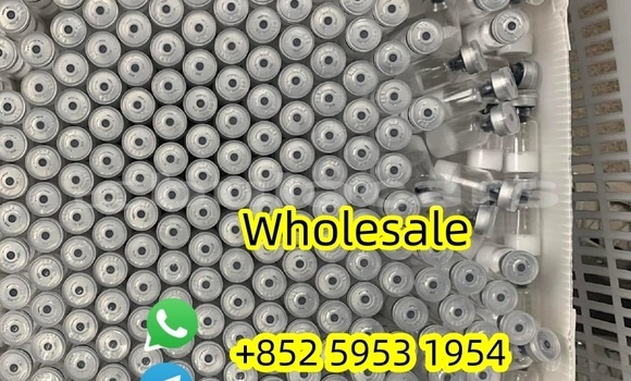 Buy Survodutide in Import - Dubai in Central Buy Survodutide in Import - Dubai in Central