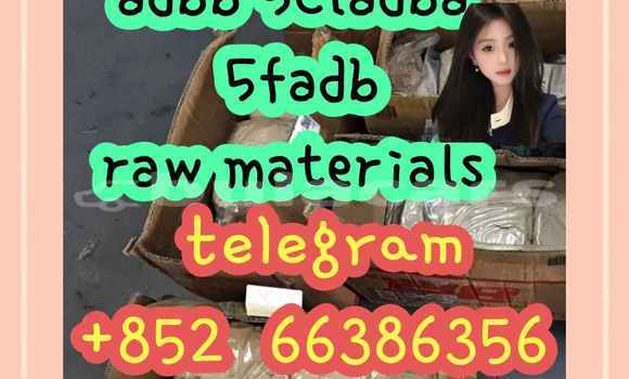 Medium with watermark 6