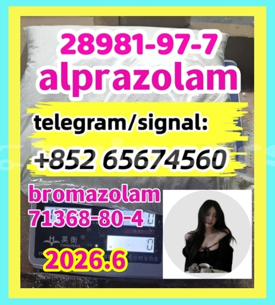 Big with watermark alp1 %e5%89%af%e6%9c%ac