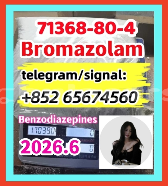 Big with watermark bro1 %e5%89%af%e6%9c%ac