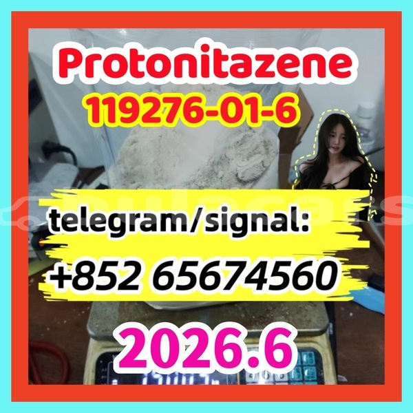 Big with watermark pro2 %e5%89%af%e6%9c%ac