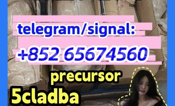 Medium with watermark photo 2026 03 04 10 21 45 %e5%89%af%e6%9c%ac %e5%89%af%e6%9c%ac