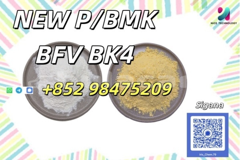 Big with watermark ajs daytona western barotu 18798