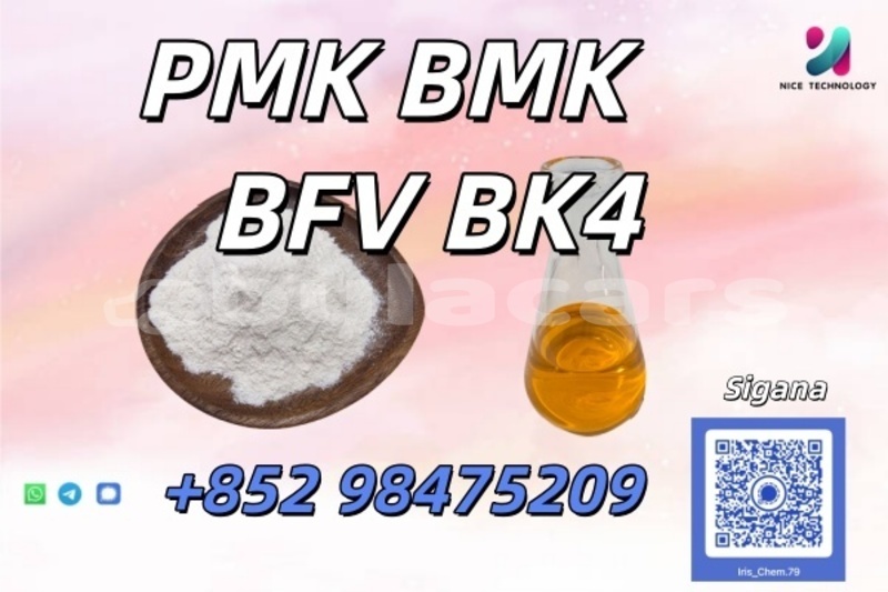 Big with watermark alta motors redshift sm northern korokade 18801