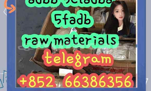 Medium with watermark 1