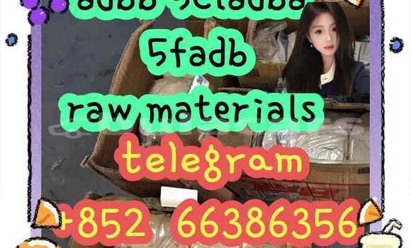 Medium with watermark 8