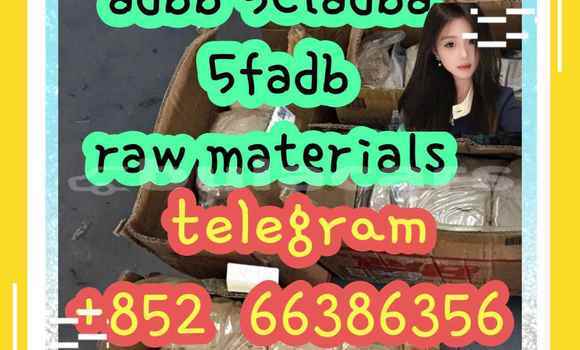 Medium with watermark 9