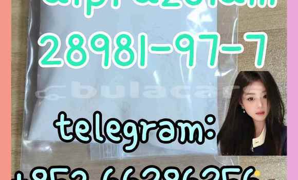 Medium with watermark 12